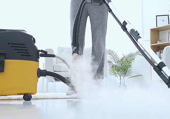 Steam Vacuum Cleaner